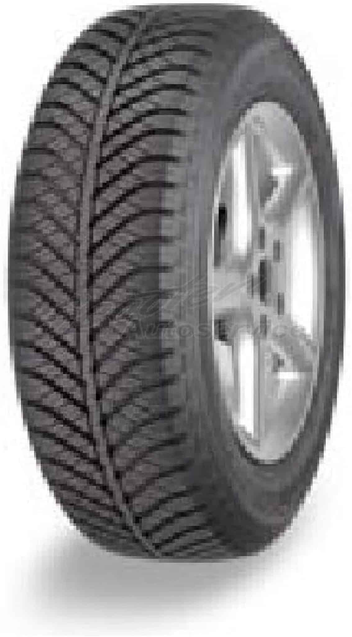 Test du Goodyear Vector 4Seasons : performance toutes saisons